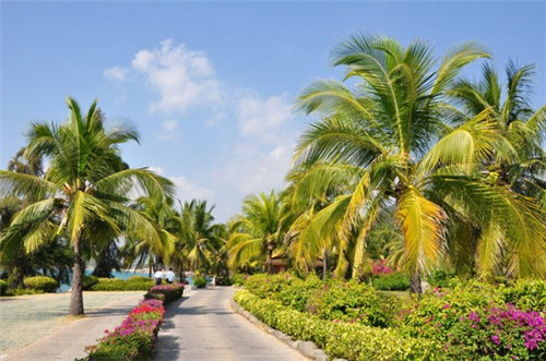 老人头汽车美容