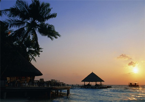 长沙丹记平江香干食