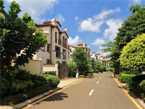 特色冰激凌奶茶店