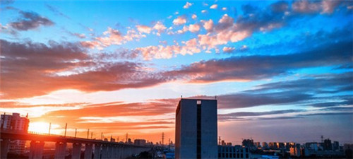 棒打青柠怎么做，棒打柠檬不要加盟费吗