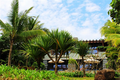 同仁县开店创业鞋盒品牌加盟代理需要什么条件，同仁堂药店加盟费