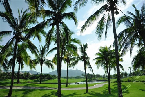 那颗了不起的星星是什么歌（那颗了不起的星星是什么歌名）