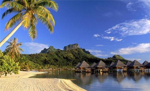 小户型有宠物装修吗（小户型能养狗吗）