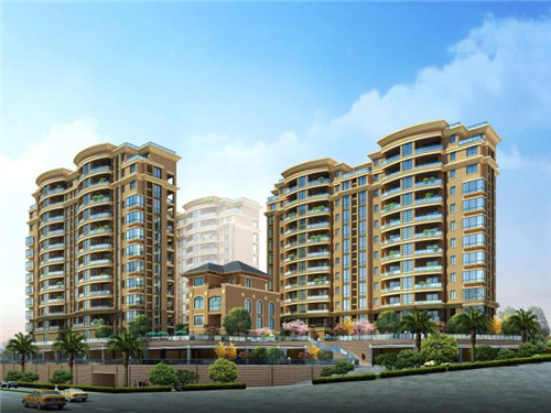 老年猫要怎么补充营养（老年猫补充营养吃什么）