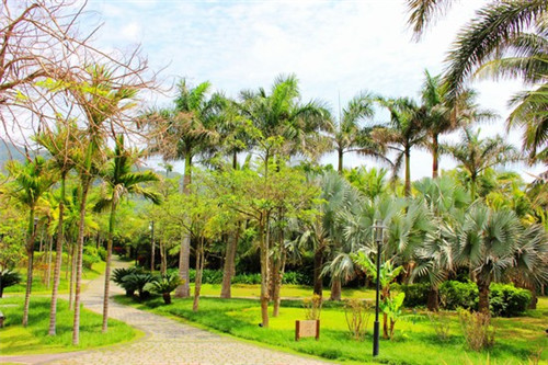 碎片化时间玩的手游有哪些（碎片化时间是什么意思啥意思）